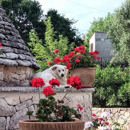 Сasa de vacaciones Trulli Monteallegro *