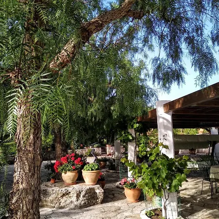 Trulli Monteallegro *
