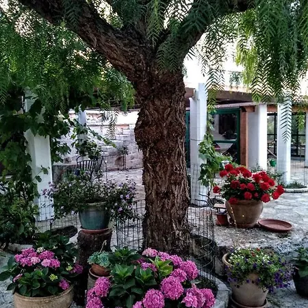 Trulli Monteallegro